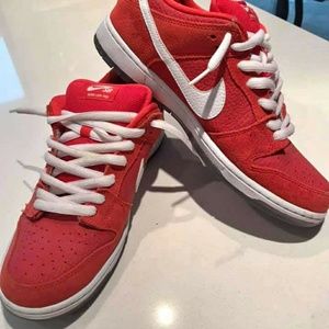 Nike SB Dunk pro